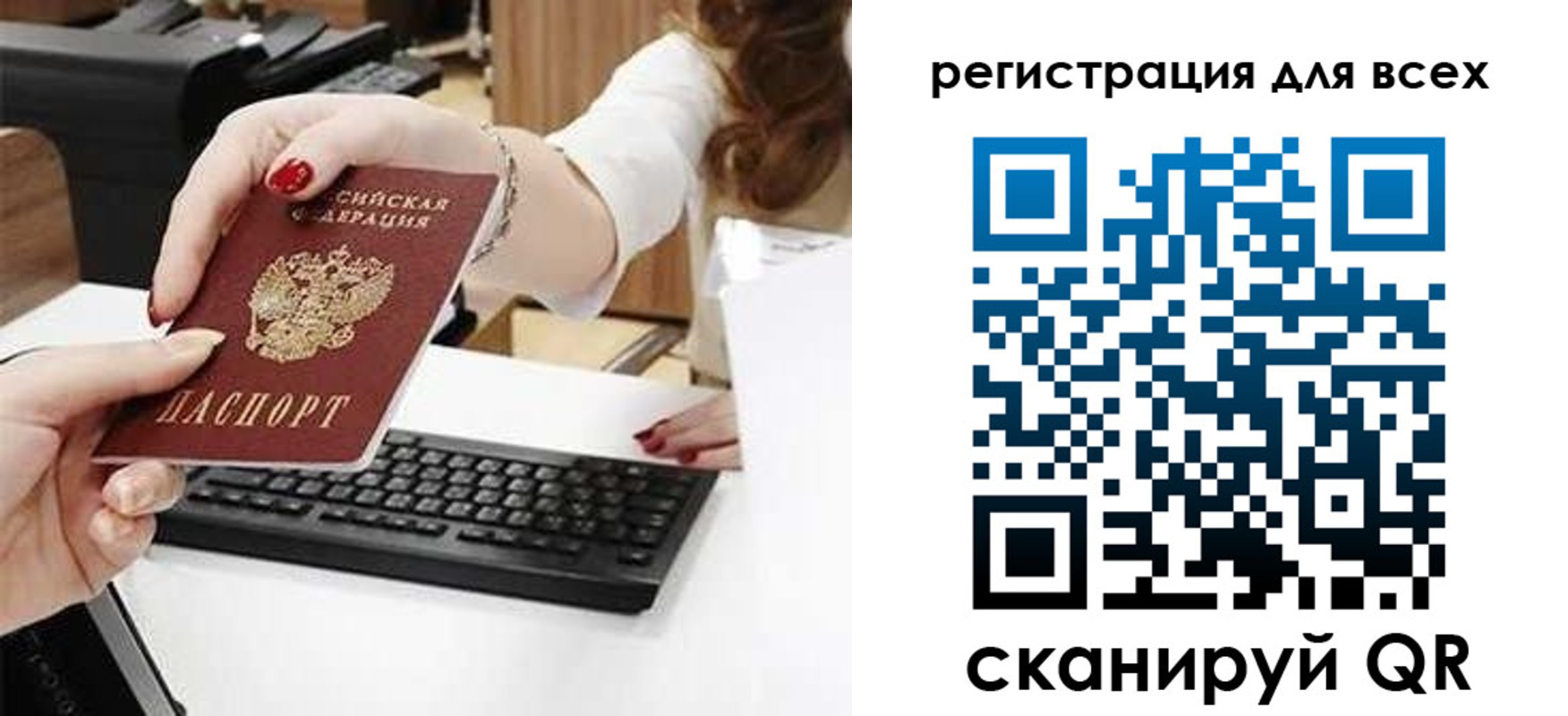 прописка в Сафоново